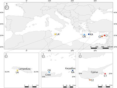 Assessment of Posidonia oceanica traits along a temperature gradient in the Mediterranean Sea shows impacts of marine warming and heat waves